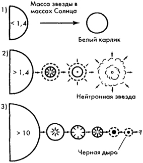 Рис. 12.2 Иллюстрация эволюции звезды в зависимости от ее начальной массы
