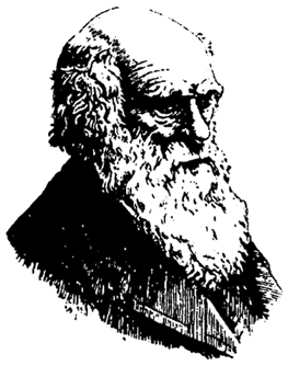 Ч. Дарвин