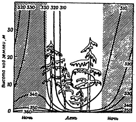 Рис. 5.17. Суточные изменения вертикального профиля концентрации СО2 в воздухе леса (из В. Лархера, 1978)