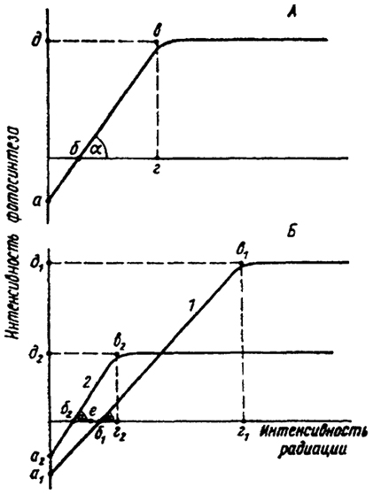 Рис. 5.23. Световые кривые фотосинтеза: А - общая схема; Б - кривые для светолюбивых (1) и теневыносливых (2) растений