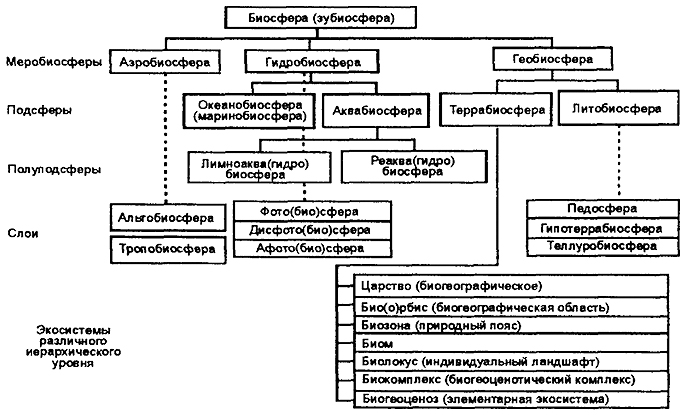 Рис. 12.41. Иерархия экосистем биосферы (по Н.Ф. Реймерсу, 1994)