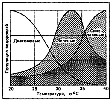 Рис. 15.8. Последовательность смены видового состава и формирования сообщества водорослей, вызываемая тепловым загрязнением (по Ф. Рамаду, 1981)