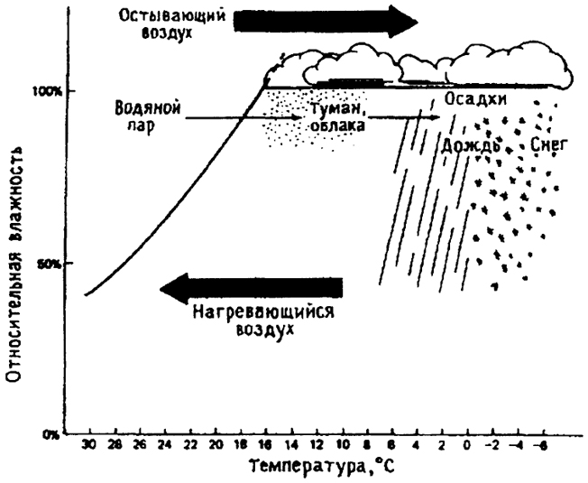 Рис. 4.19. Влияние температуры на относительную влажность воздуха (по Б. Небелу, 1993)