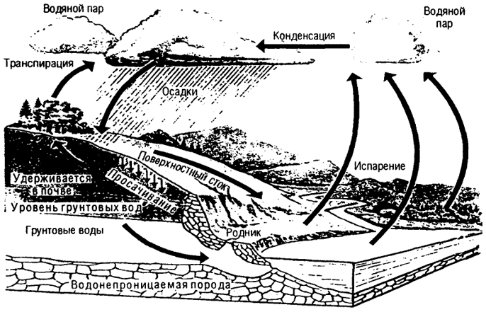 Рис. 4.23. Гидрологический цикл и накопление воды (по Е.А. Криксунову и др., 1995)